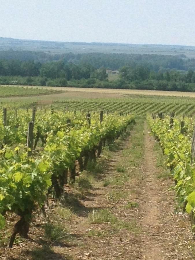 Gite Du Calme 3 Star Bed & Breakfast Cognac Cherac Экстерьер фото
